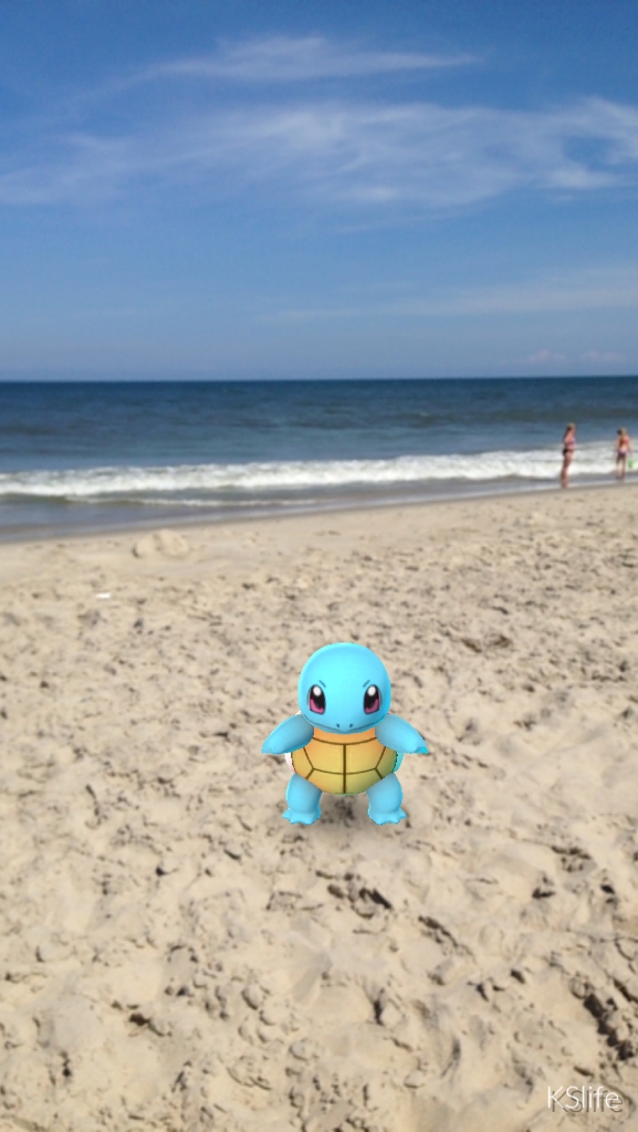 Squirtle at Nag's Head, NC
