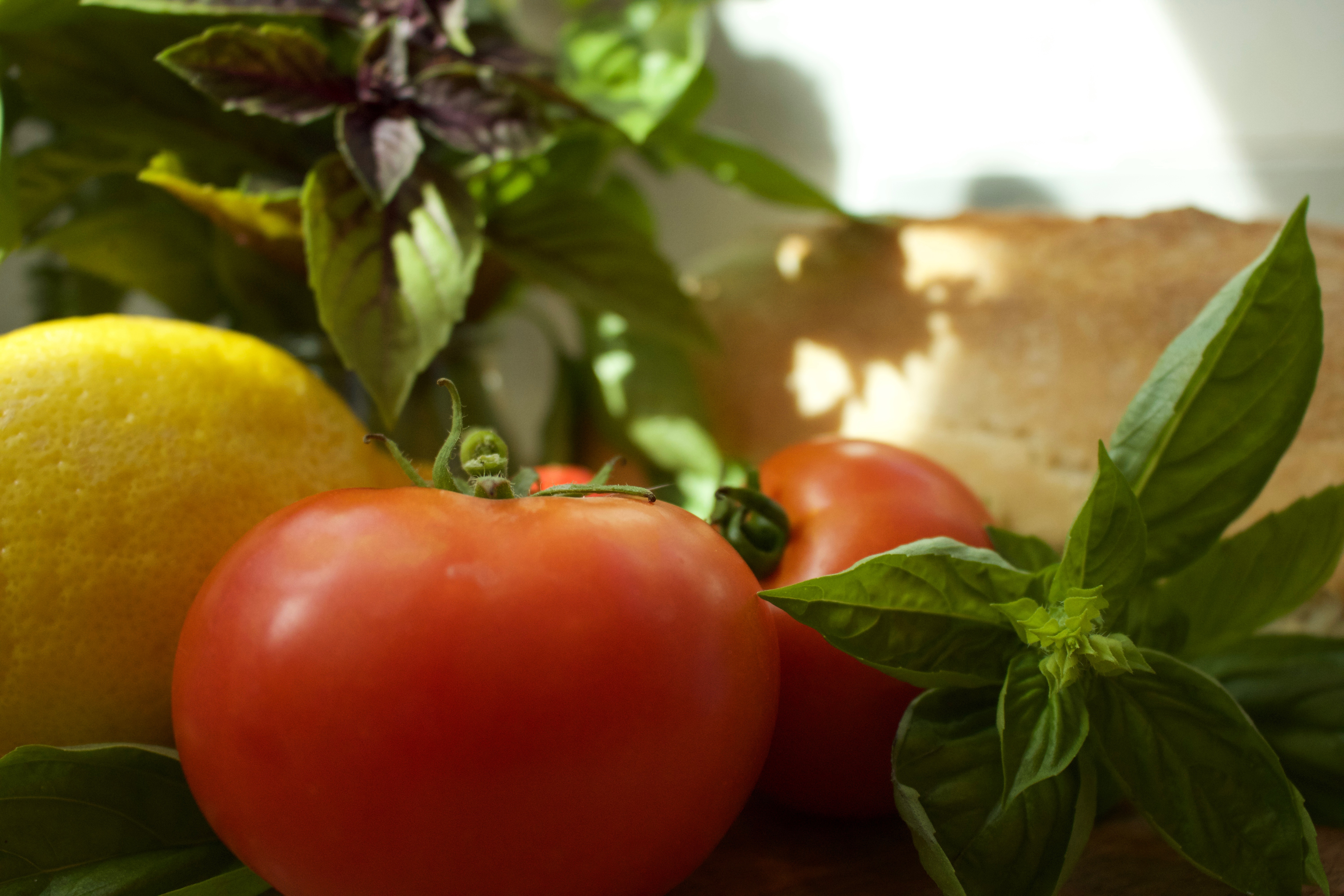Fresh Tomatoes, Basil Pesto Caprese Bread Salad