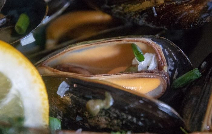 single cooked mussel